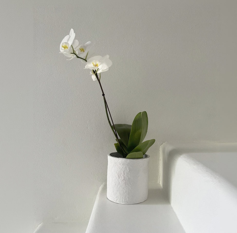 Planter Pot