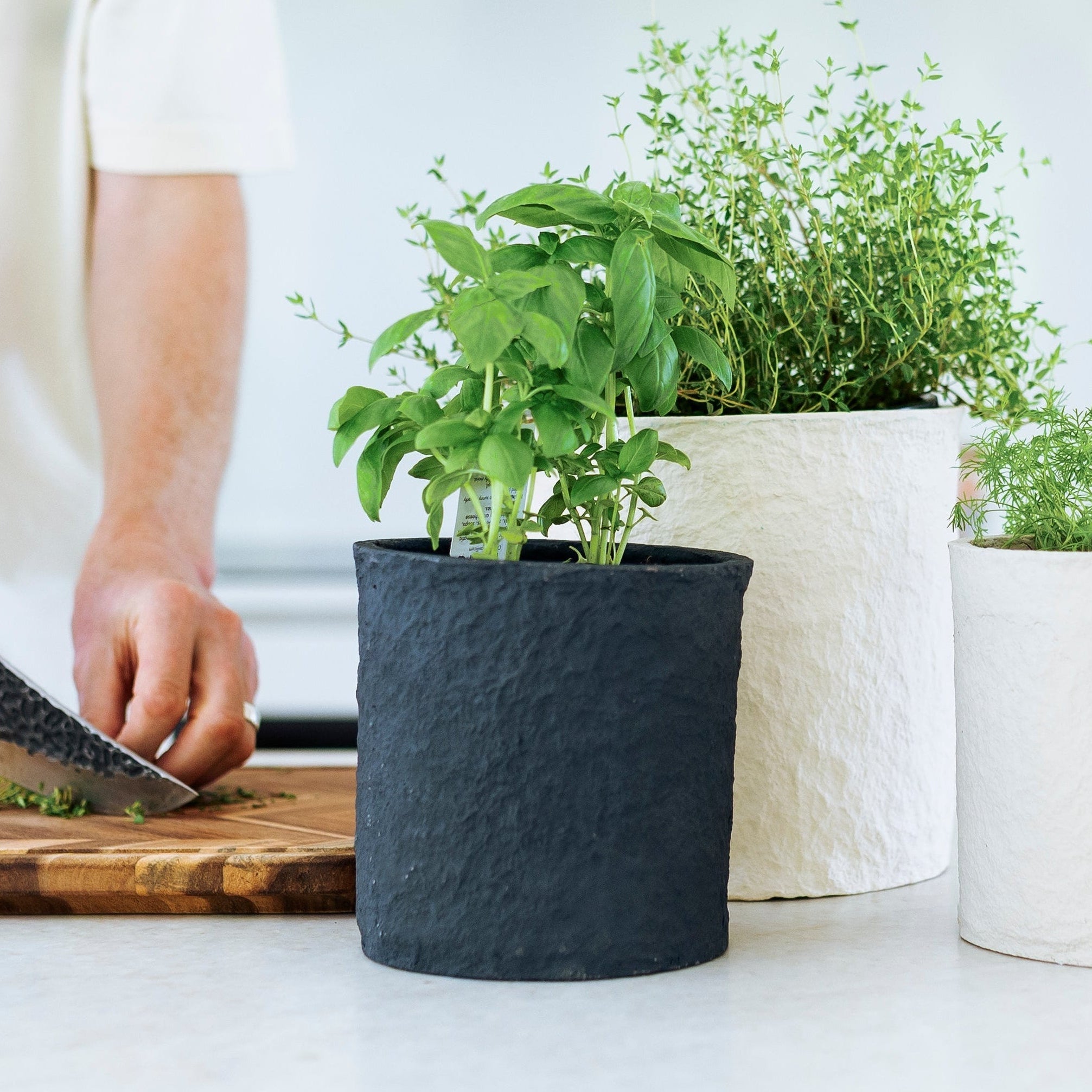 Planter Pot