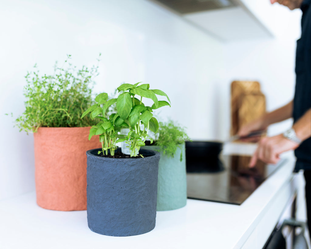 Planter Pot